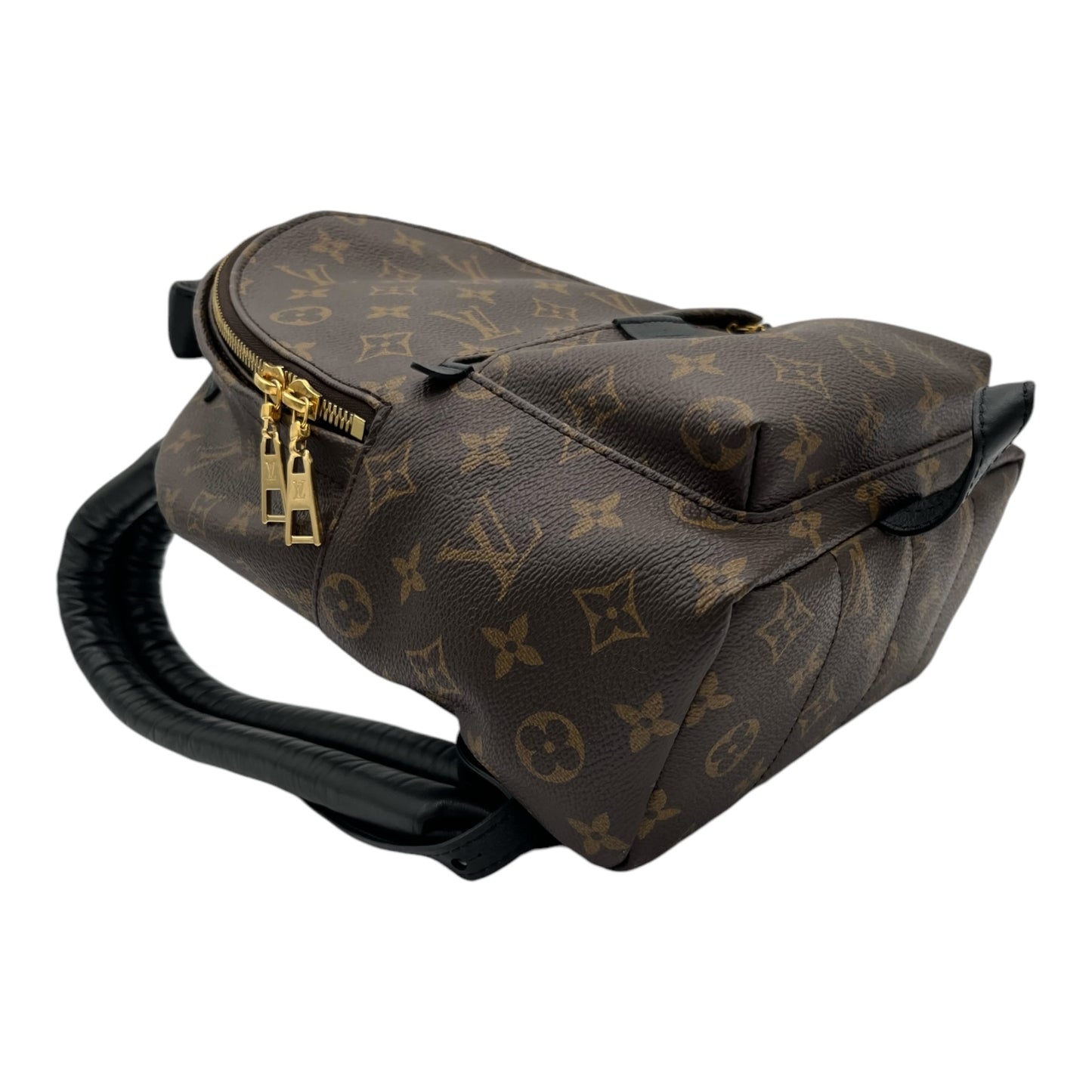 LOUIS VUITTON MONOGRAM PALM SPRINGS BACKPACK PM