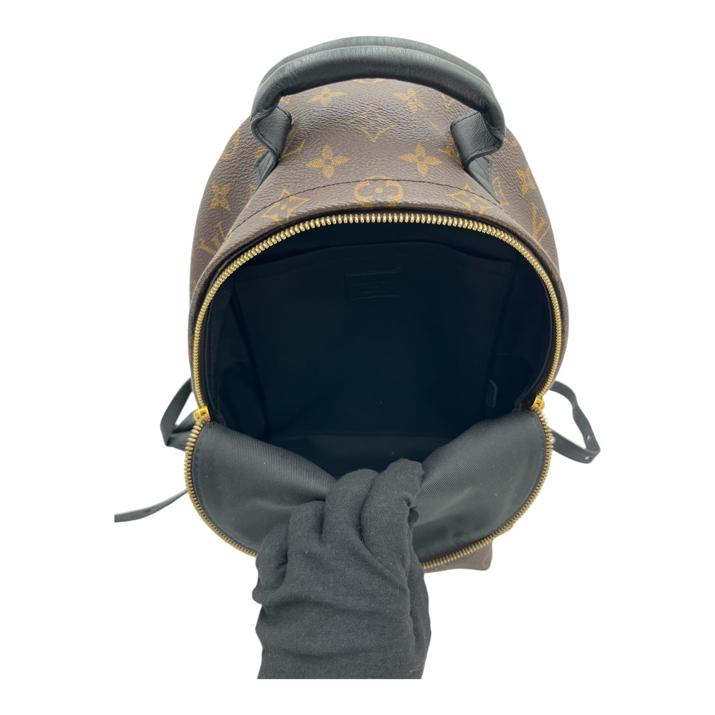 LOUIS VUITTON MONOGRAM PALM SPRINGS BACKPACK PM