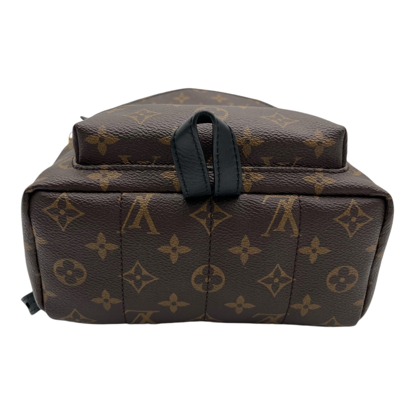 LOUIS VUITTON MONOGRAM PALM SPRINGS BACKPACK PM