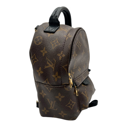 LOUIS VUITTON PALM SPRING MINI BACKPACK