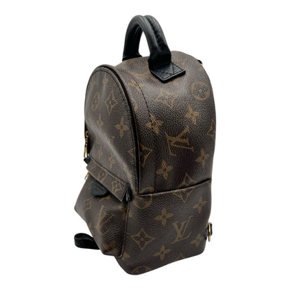 LOUIS VUITTON PALM SPRING MINI BACKPACK