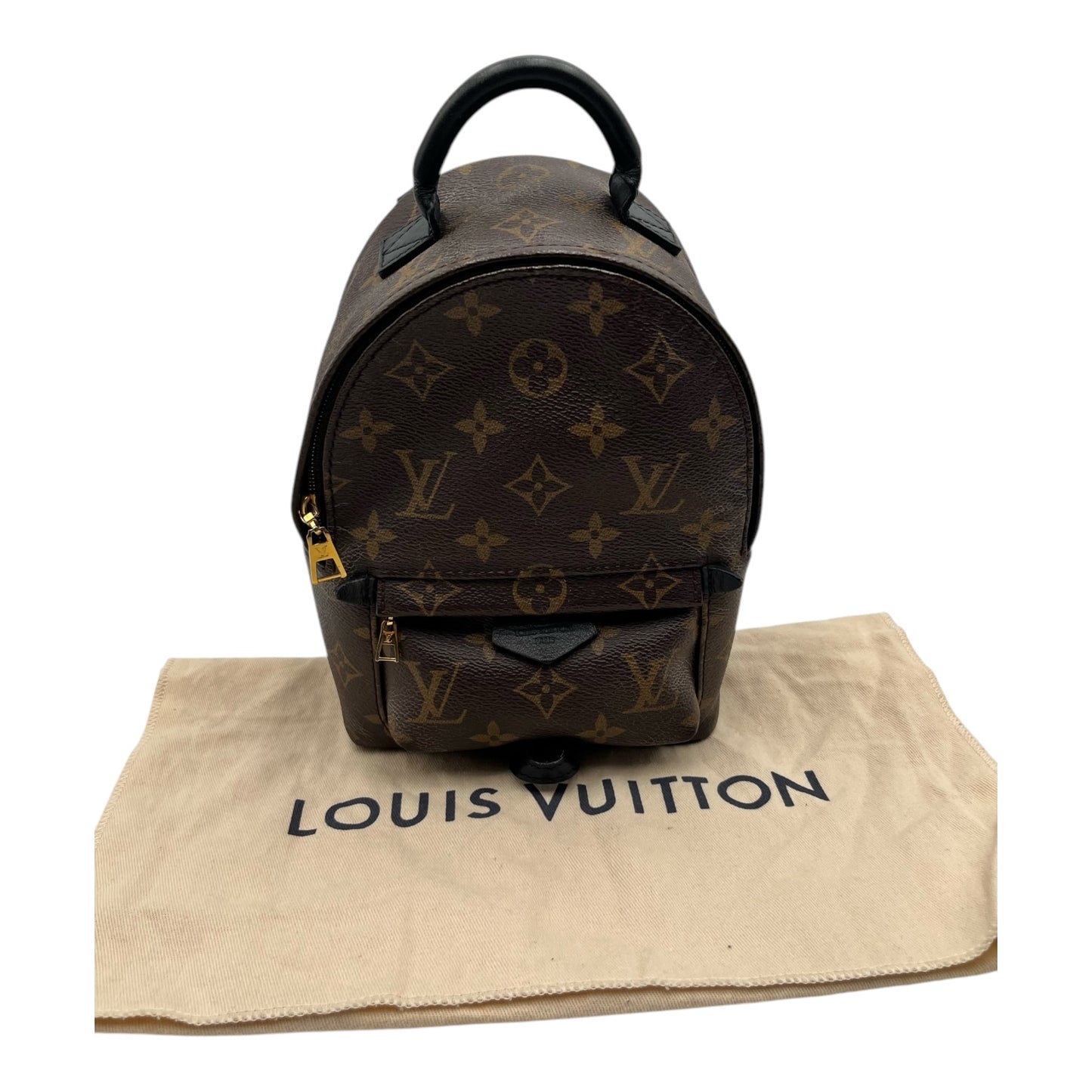 LOUIS VUITTON PALM SPRING MINI BACKPACK