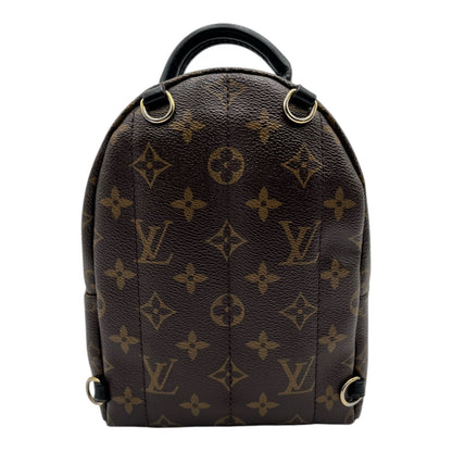 LOUIS VUITTON PALM SPRING MINI BACKPACK