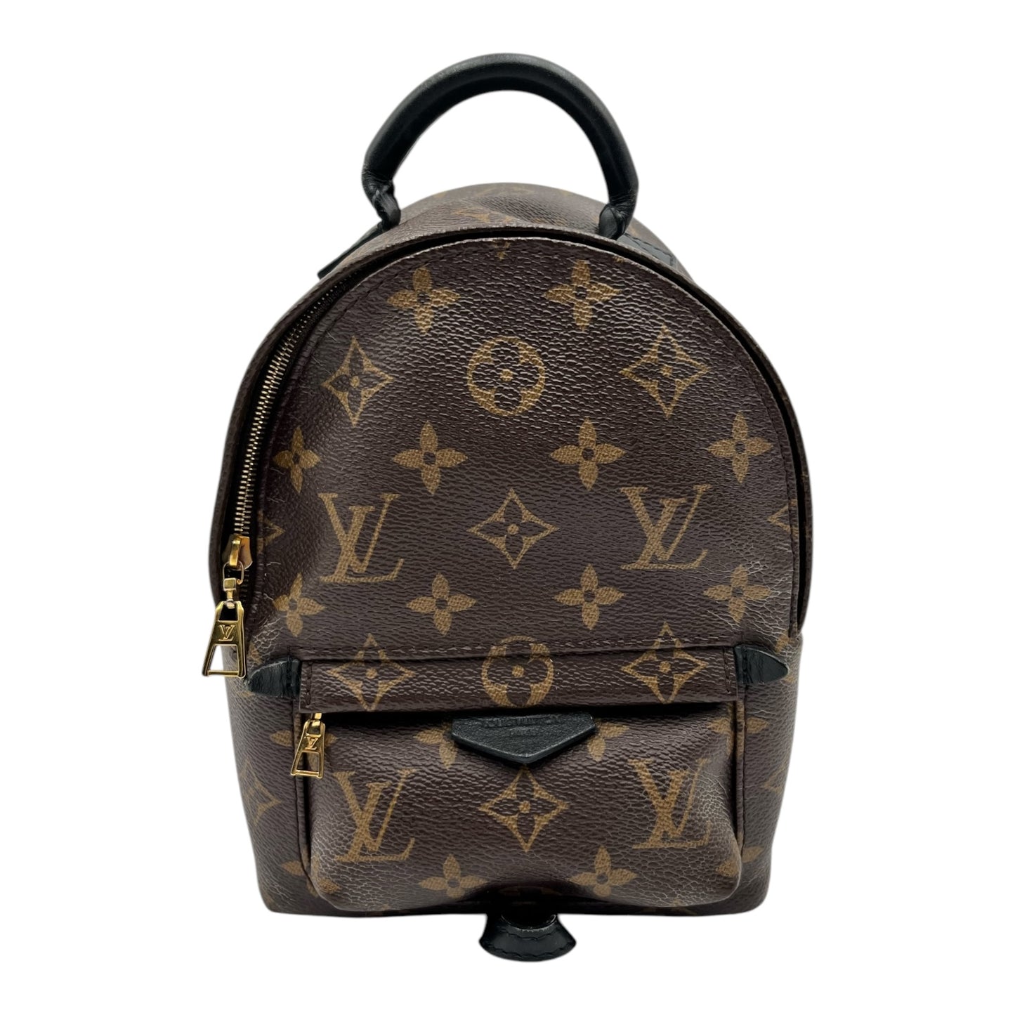 LOUIS VUITTON PALM SPRING MINI BACKPACK